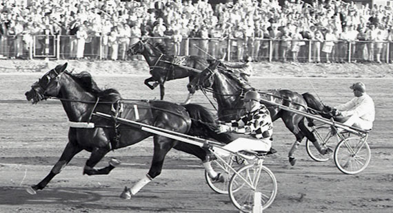Vinnare SprinterMästaren 1971 - Cirro